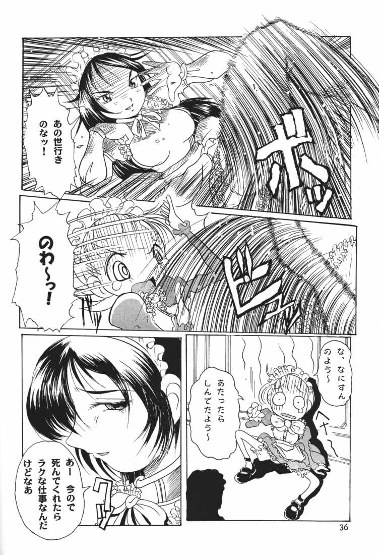 (C61) [Tsurugashima Heights (Various)] MAID GP2001 - Page 34