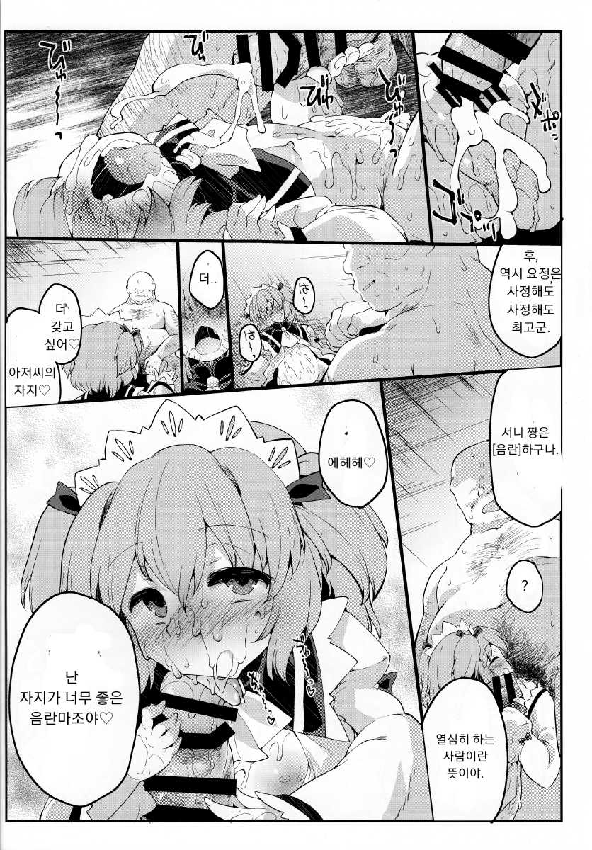 (Yousei Genki! 12) [IncluDe (Foolest)] Sunny no ♡♡♡♡ ni Kimochi ii ○○○○ o Oshiekomitai (Touhou Project) [Korean] - Page 26