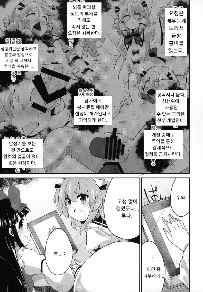 [IncluDe (Foolest)] Youkai ni Chikazuite mo Yousei wa Yousei desu | 요괴에 가까워도 요정은 요정이에요 (Touhou Project) [Korean] [2020-01] - Page 4