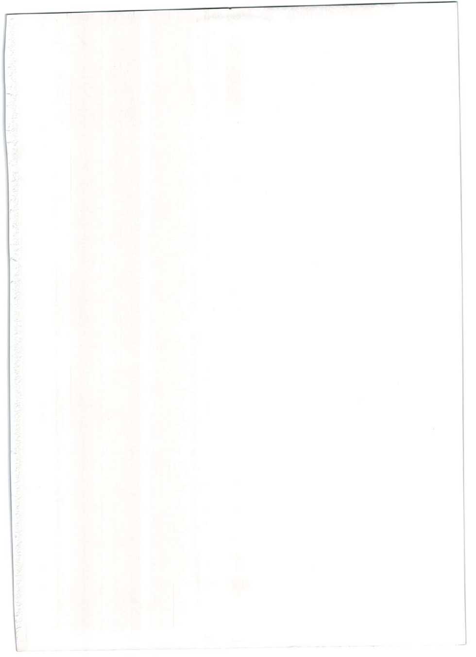 (COMIC1☆8) [Nantara Kantara (Shungiku Tenudon)] Shuuhaku no Miko (Toukiden) [Chinese] [不會日文的台長個人漢化] - Page 3