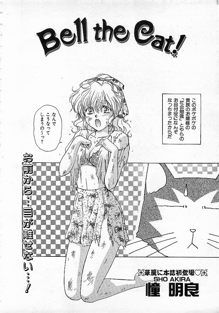 Colorful Bee 1999-10 - Page 25