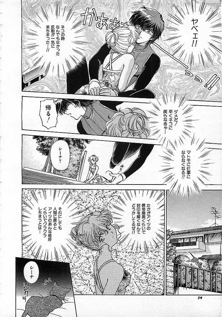 Colorful Bee 1999-10 - Page 33