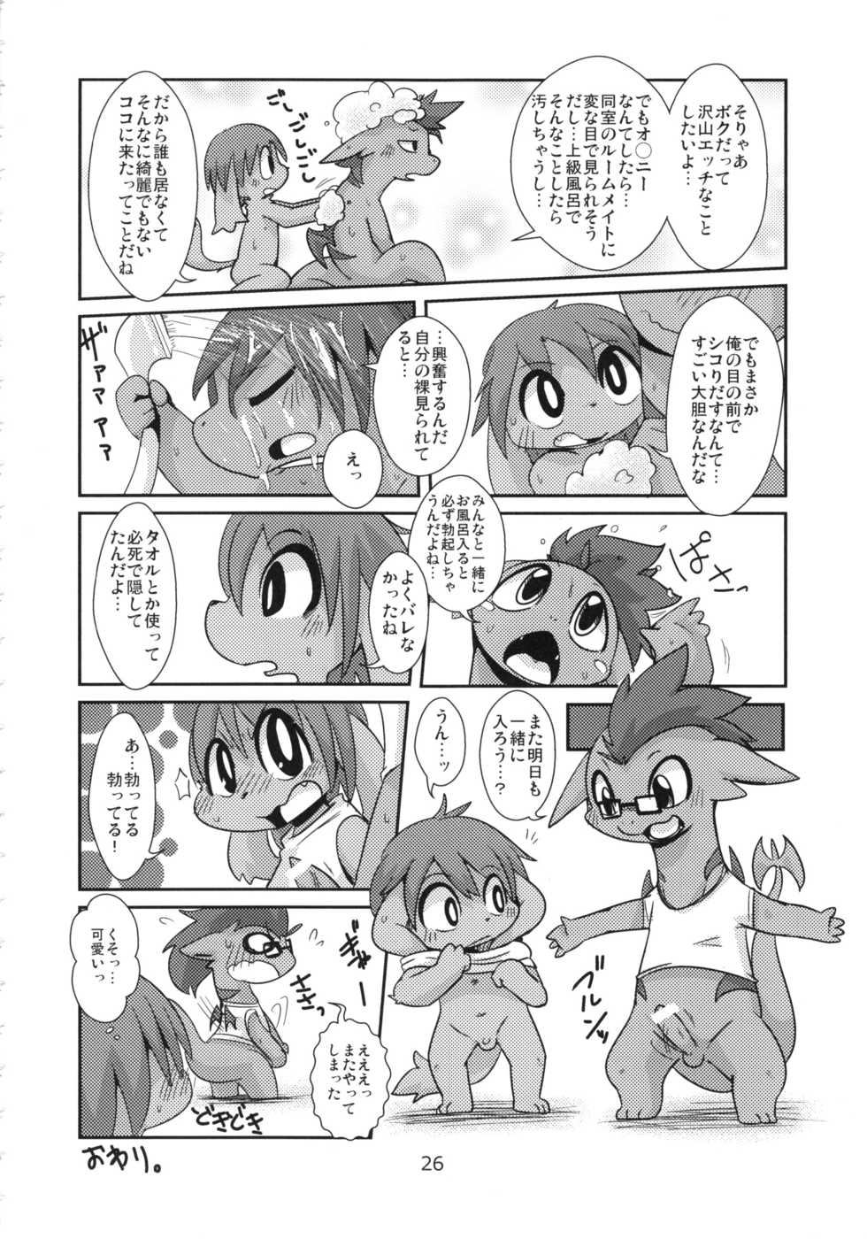 (C84) [Harugoya (Harusuke)] Harubon 10 - Page 25