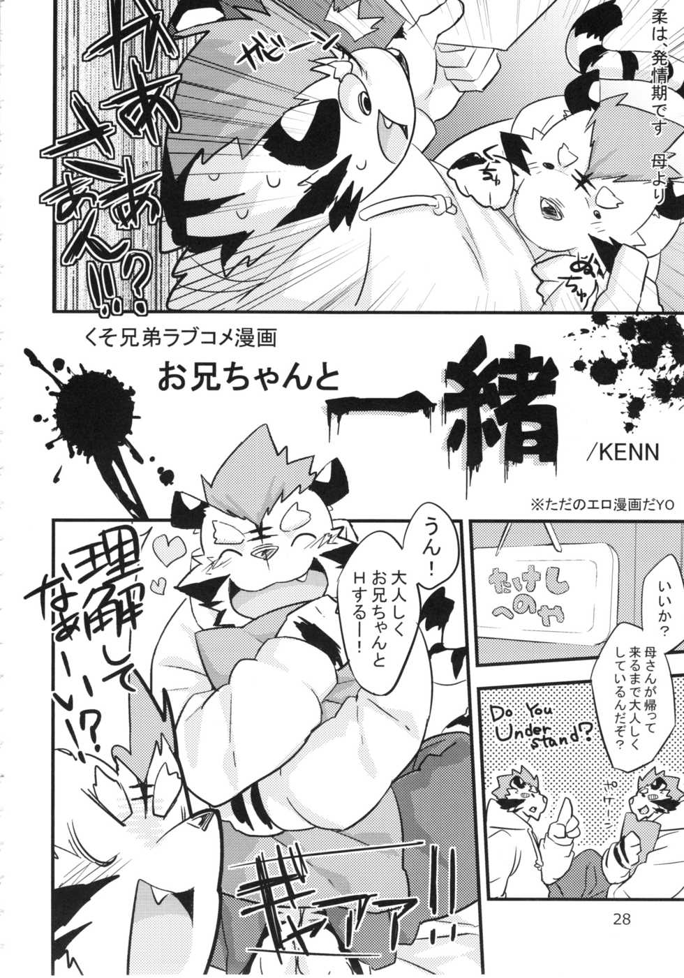 (C84) [Harugoya (Harusuke)] Harubon 10 - Page 27