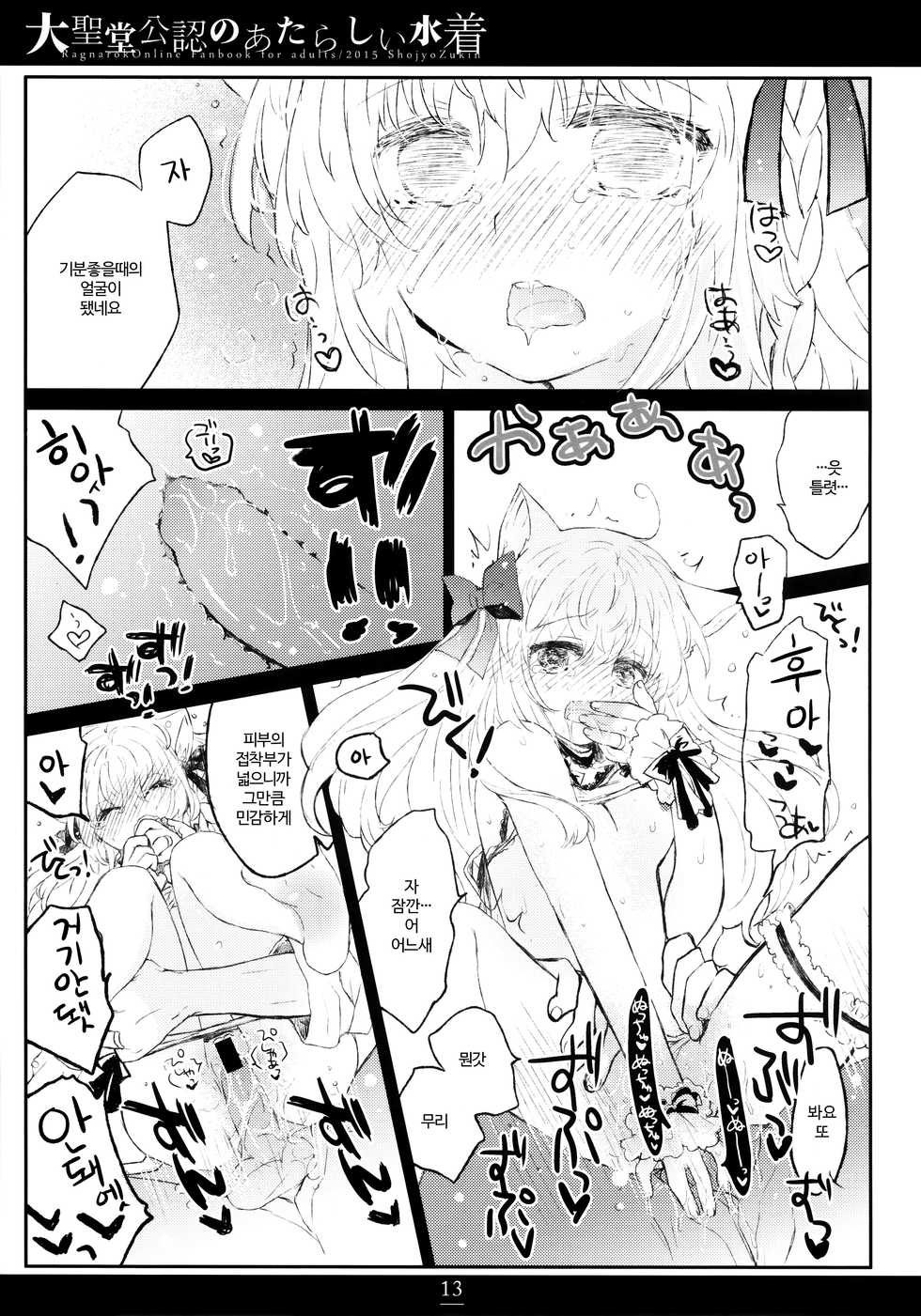 (C88) [Shoujo Zukin (Hatomugi Munmun)] Daiseidou Kounin no Atarashii Mizugi | 대성당 공인의 새로운 수영복 (Ragnarok Online) [Korean] [팀실버] - Page 12
