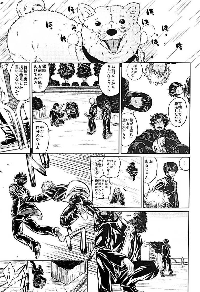 [Rundown (Torimochi)] Nora (Gintama) - Page 2