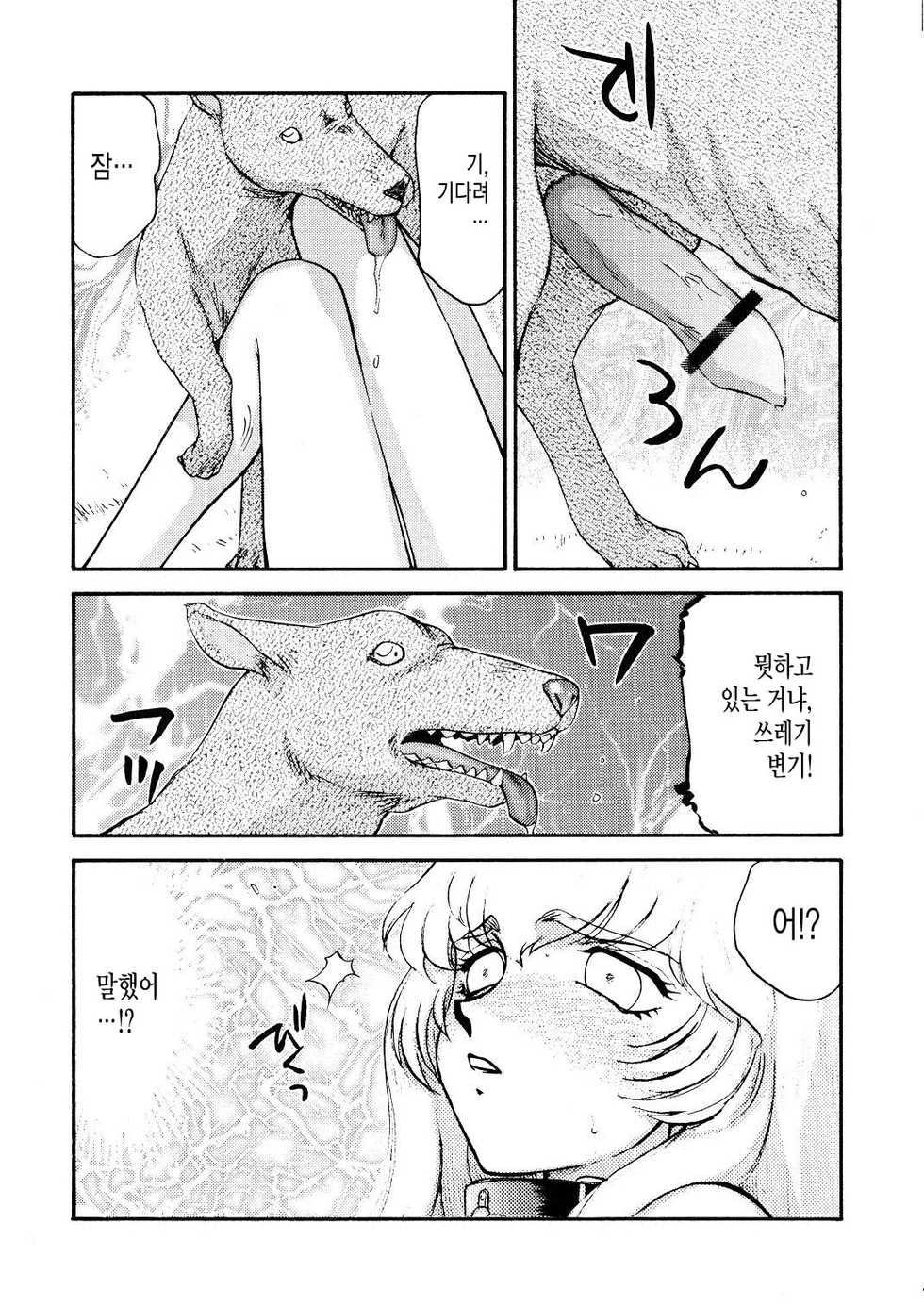 (C67) [LTM. (Taira Hajime)] Nise Dragon Blood! 13 [Korean] - Page 21