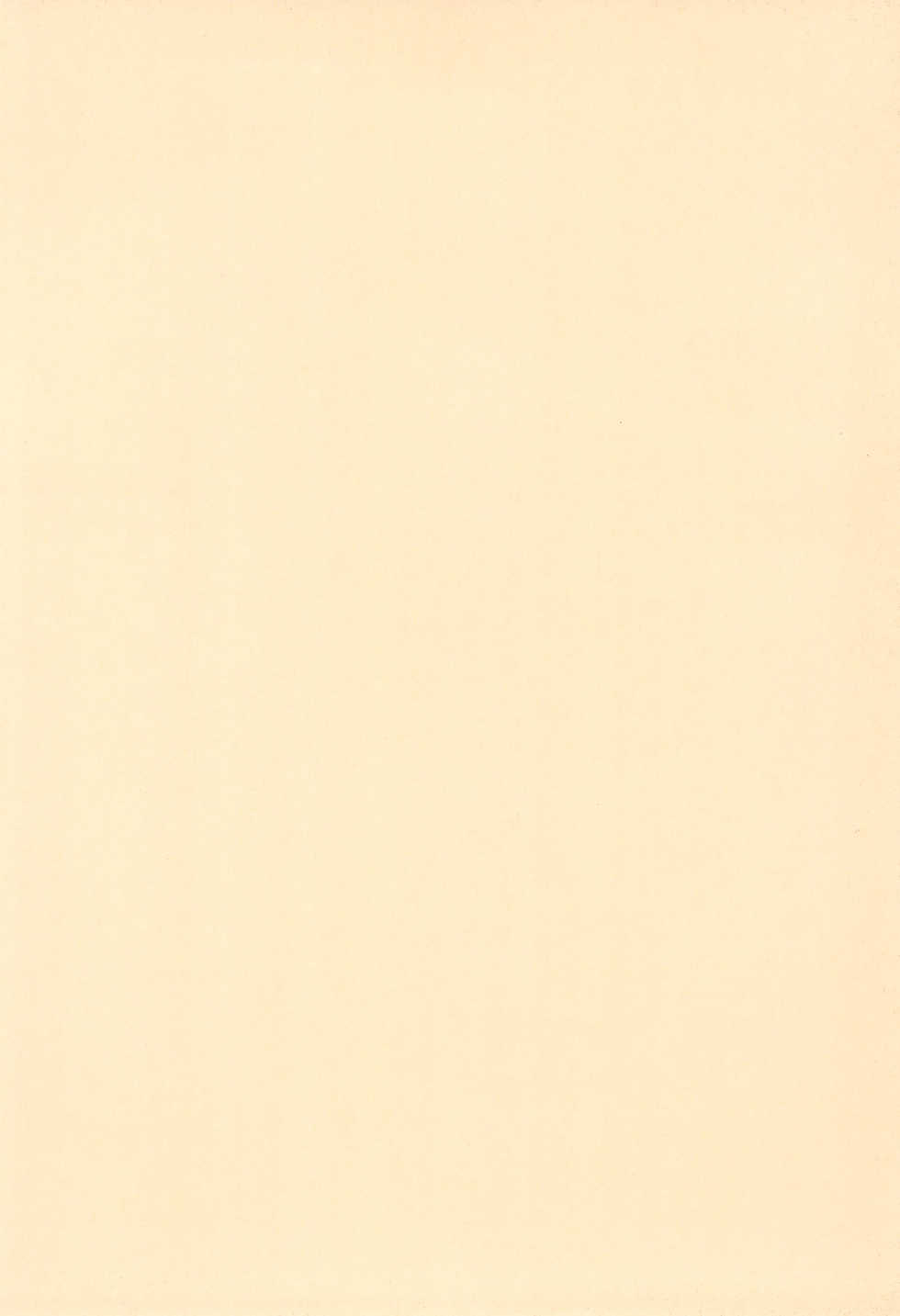 (C65) [Vands/NECO Seiryuu (Various)] Ichigo Milk - Page 4