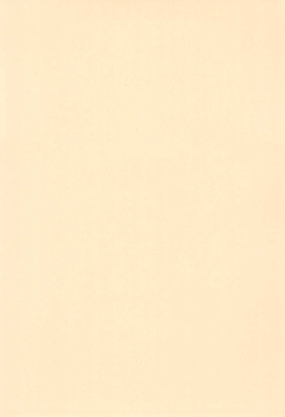 (C65) [Vands/NECO Seiryuu (Various)] Ichigo Milk - Page 38