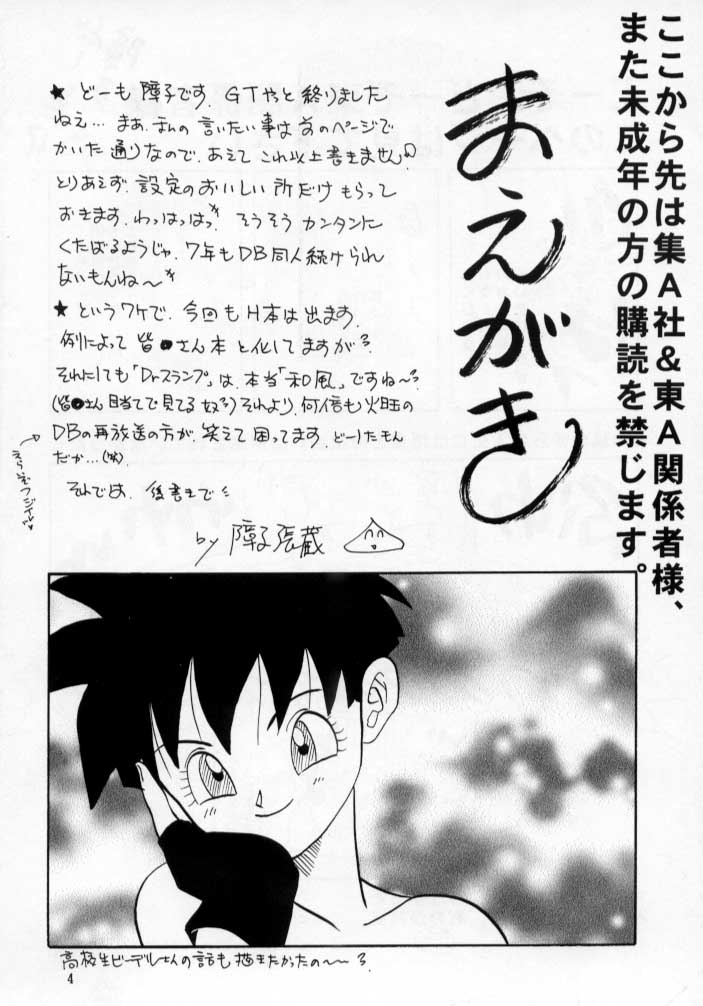 (C53) [Chirigami Goya, Fusuma Goten (Shouji Hariko)] HoHeTo (Dragon Ball GT) - Page 5
