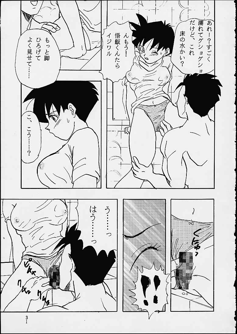 (C49) [Chirigami Goya / Fusuma Goten] Z (Dragonball) - Page 31