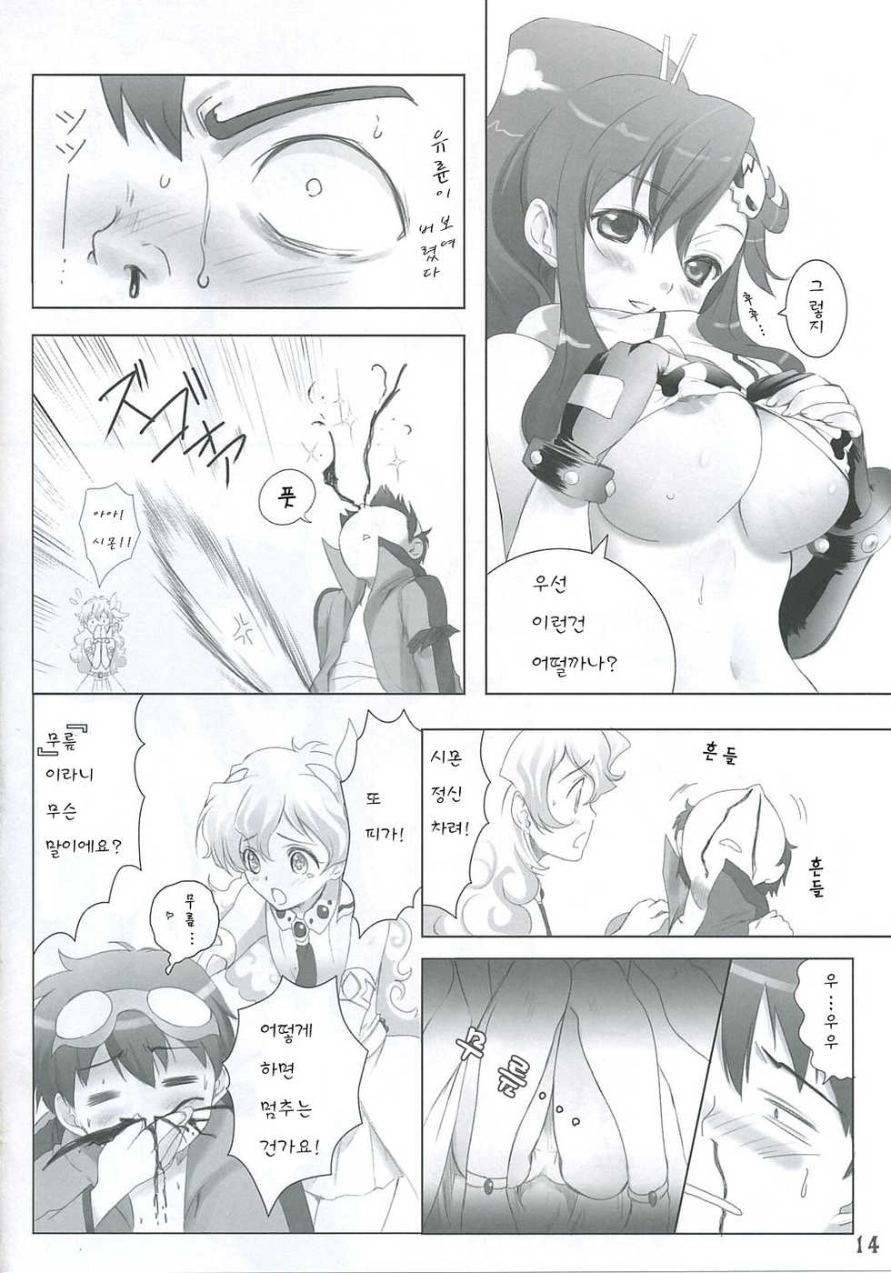 (C72) [Usa Daioh (Masaharu)] Hirocolle + Lagann | 주인공모음+라간 (Tengen Toppa Gurren Lagann) [Korean] [Project H] - Page 14