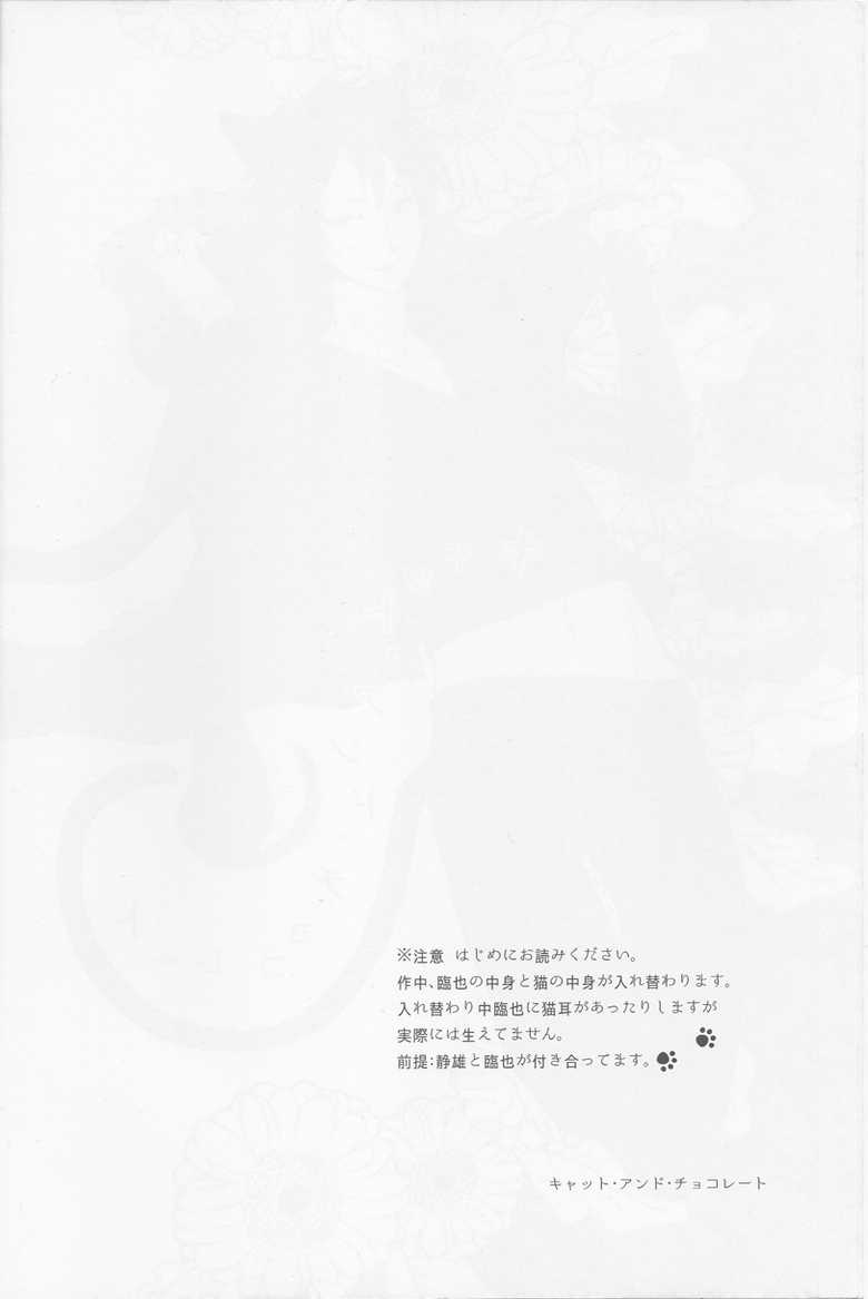 (C88) [carameluma (NiCO)] Cat & Chocolate (Durarara!!) - Page 3