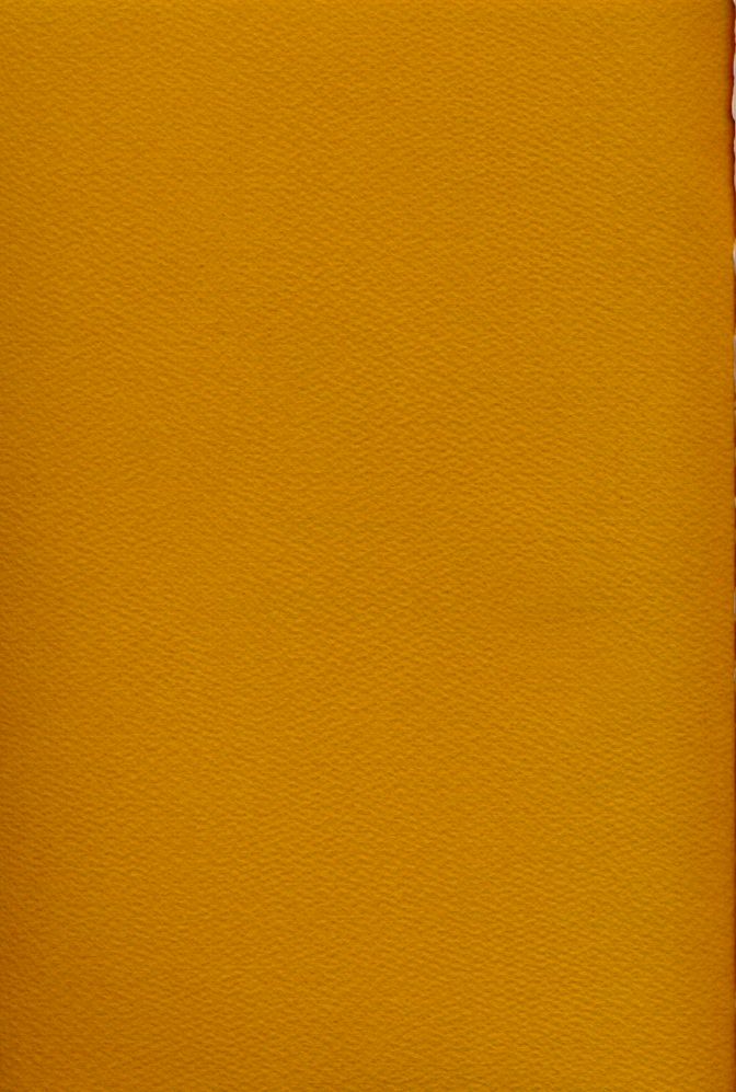 (C55) [Works Maruma (Makura Eiji)] Zoku Nichiyou You Ga Gekijou (Kizuato) - Page 31