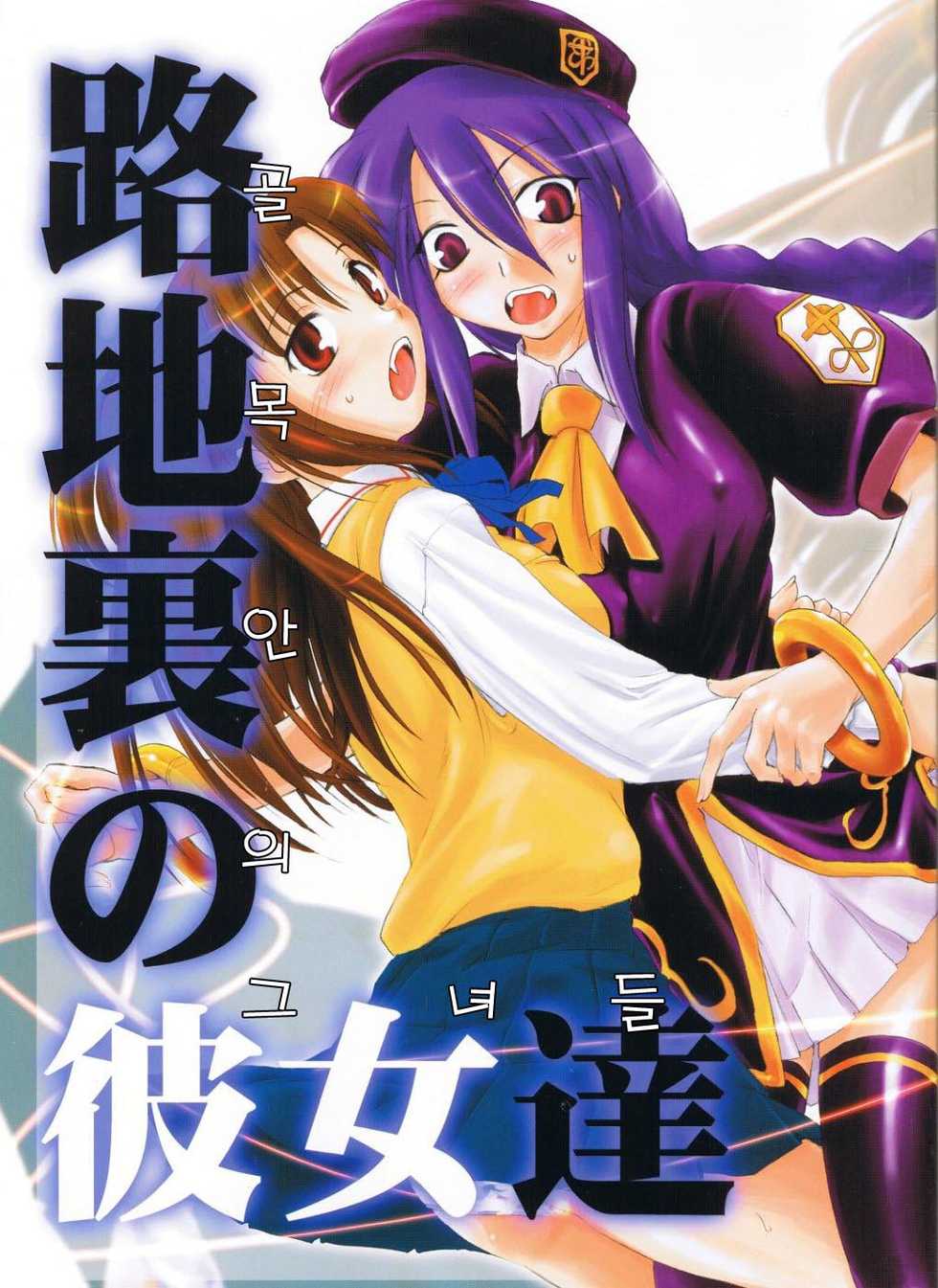 (C66) [Shimoyakedou (Ouma Tokiichi)] Rojiura no Kanojo-tachi | 골목안의 그녀들 (Tsukihime) [Korean] - Page 1
