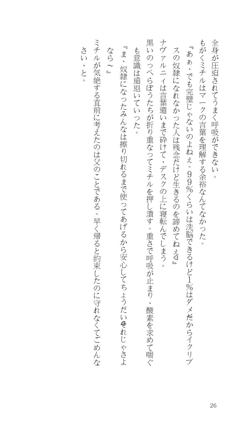[Haven Games (Ema, Pokonyang)] Higyaku Senki Liberator Rouge - Page 30