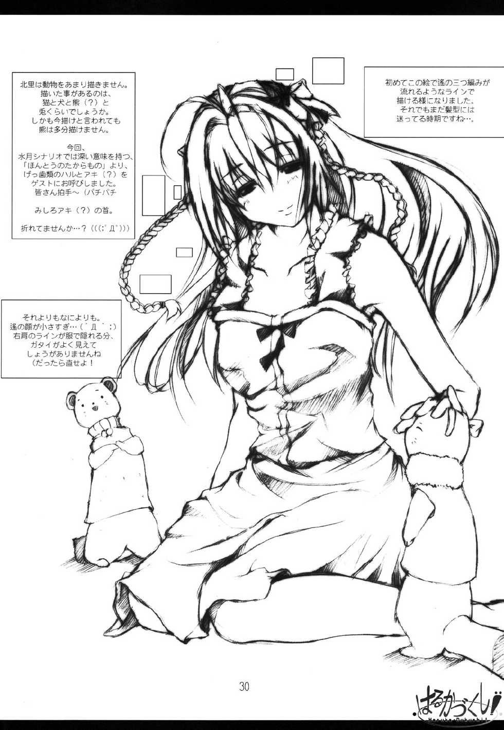 (C63) [Blood Elemental (Kitasato Makoto)] Haruka - Dukushi! (Kimi ga Nozomu Eien) - Page 30