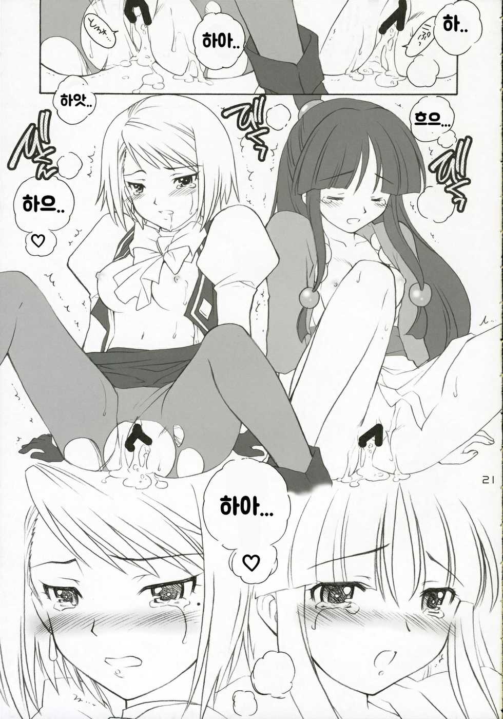 (C69) [Purin Yokochou (Ouka Sushi)] Ippatsu! Gyakutenman | 한방! 역전맨 (Gyakuten Saiban) [Korean] - Page 20