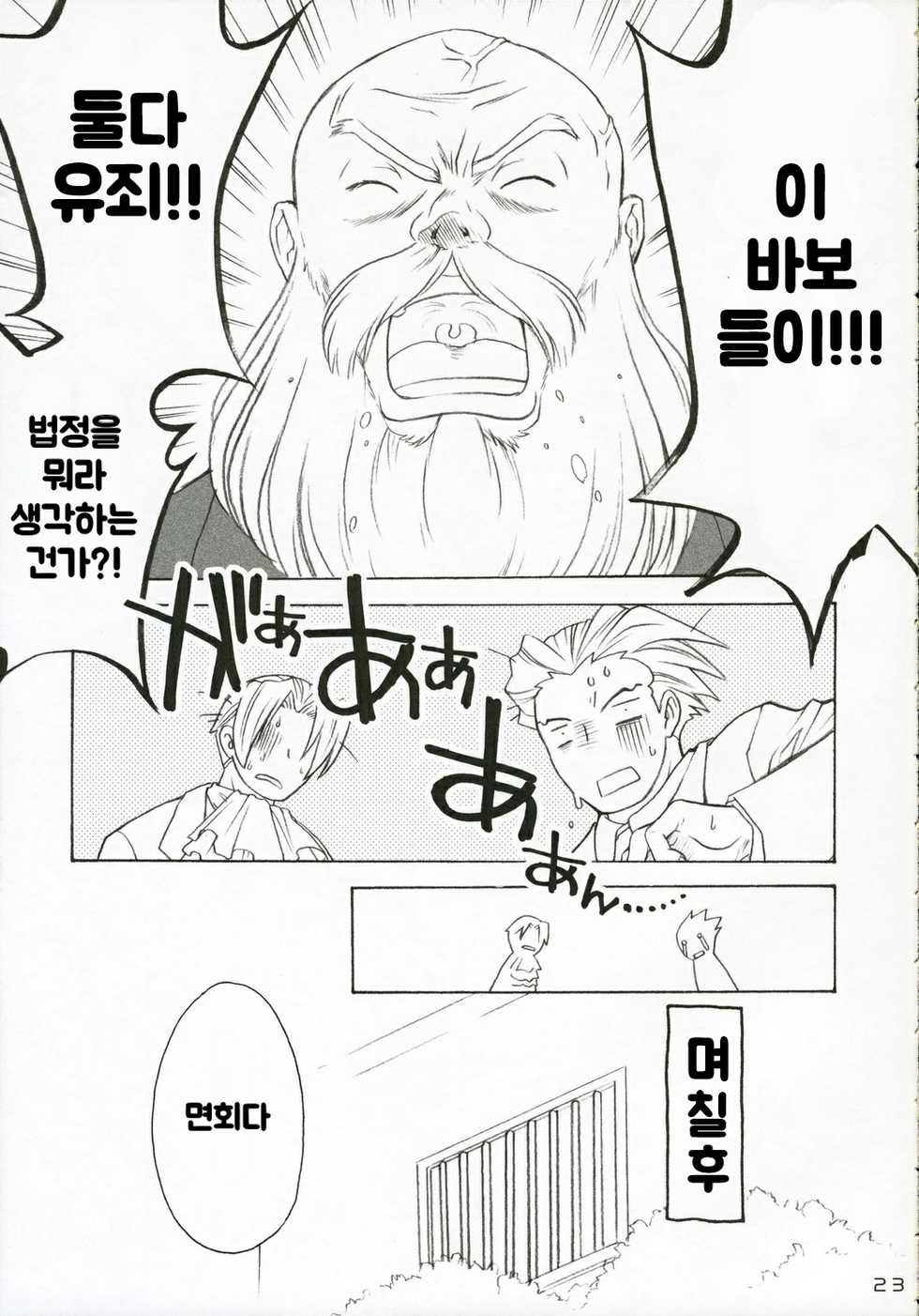 (C69) [Purin Yokochou (Ouka Sushi)] Ippatsu! Gyakutenman | 한방! 역전맨 (Gyakuten Saiban) [Korean] - Page 22