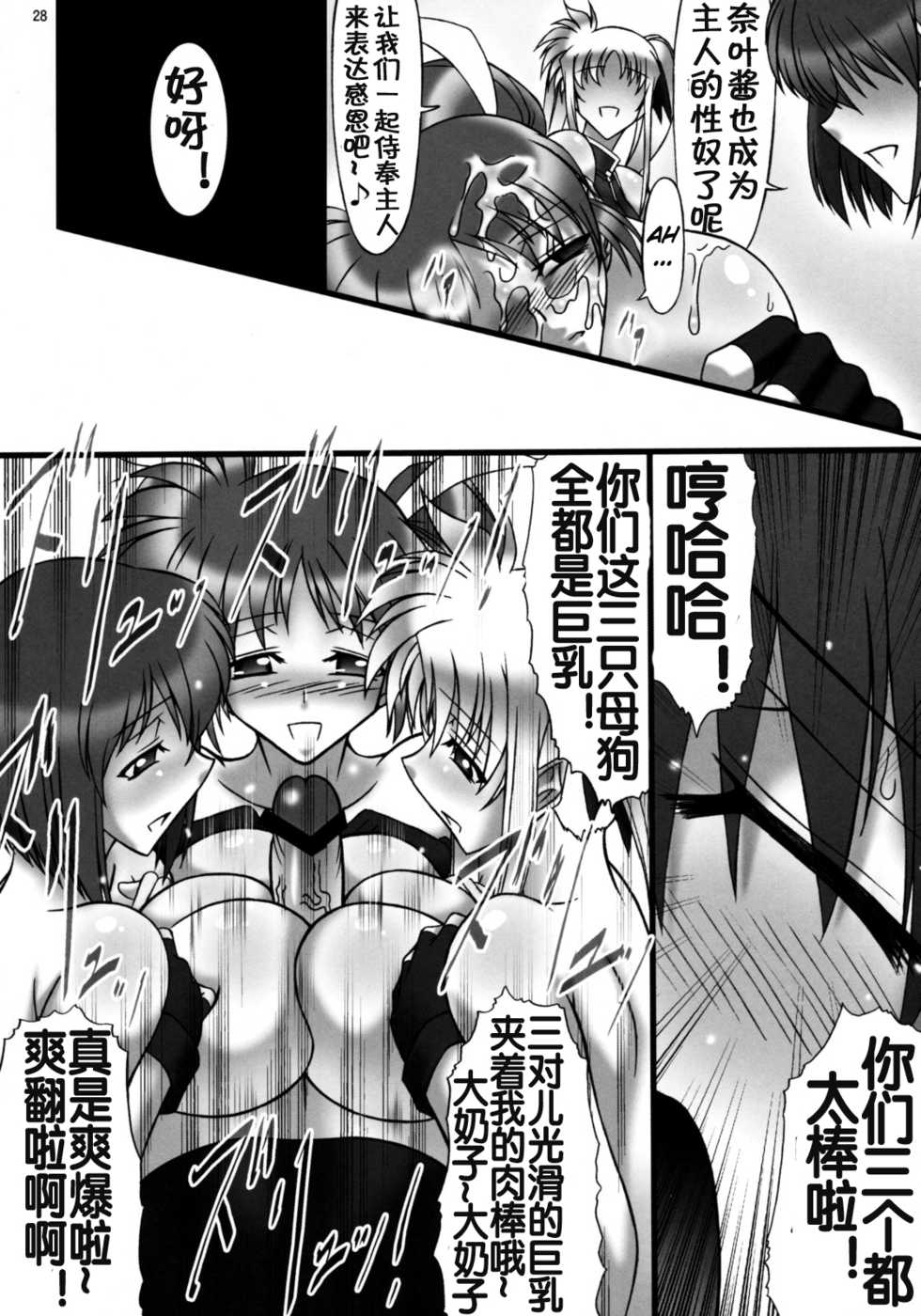 (C75) [AXZ (Hamon Ai)] Angel's stroke 22 Datenshi Gekitsui (Mahou Shoujo Lyrical Nanoha) [Chinese] [流木个人汉化] - Page 29