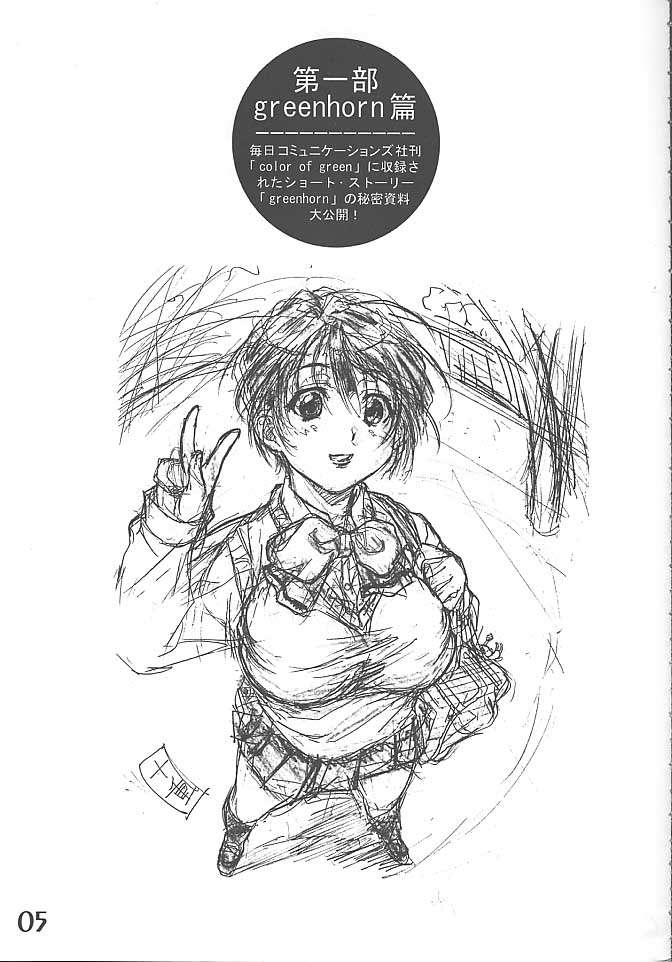 (C59) [Makino Jimusho (Various)] an amateur VOL.3 (Green ~Akizora No Screen~) - Page 4