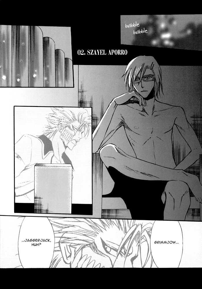 (SUPERKansai13) [Amainu (Naorin)] Brother Junbigou (Bleach) [English] [DPScanlations] - Page 7