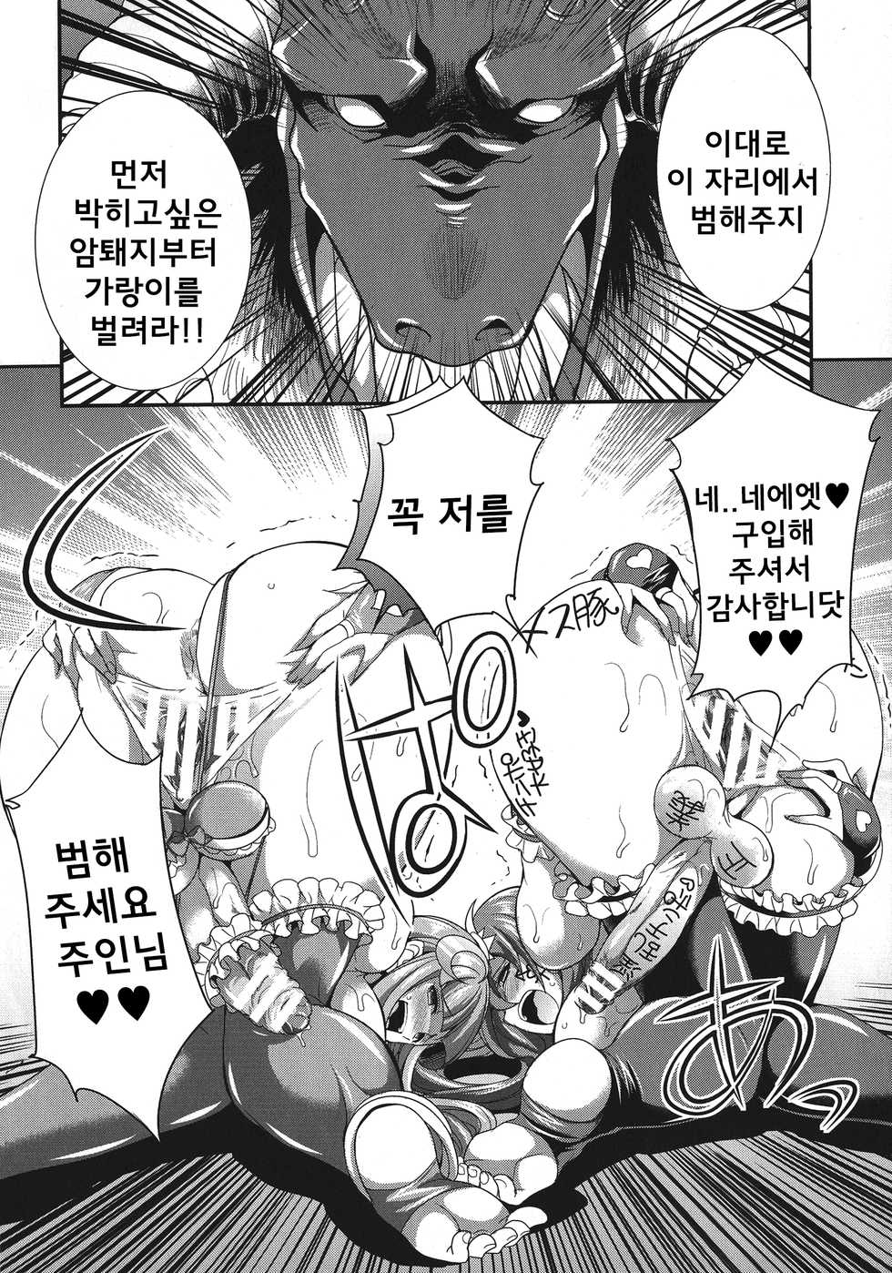 [Kaguya] Tenkou Seiki Vermillion Seigi no Enbu (Tenkouseiki Vermillion THE COMIC) [Korean] - Page 17
