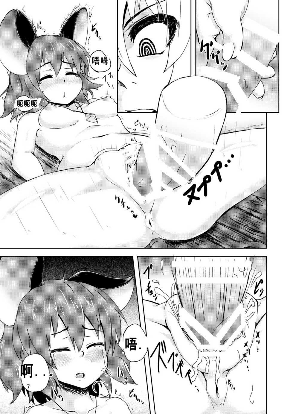 [Cheese Company (Peso)] Tora ga Nezumi ni Kateru Wake ga Nai!! (Touhou Project) [Chinese] [yyub汉化] [Digital] - Page 9