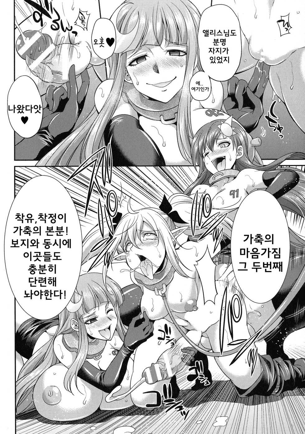 [Kaguya] Tenkou Seiki Vermillion Kyoufu no Ningen Bokujou (Tenkouseiki Vermillion THE COMIC) [Korean] - Page 22