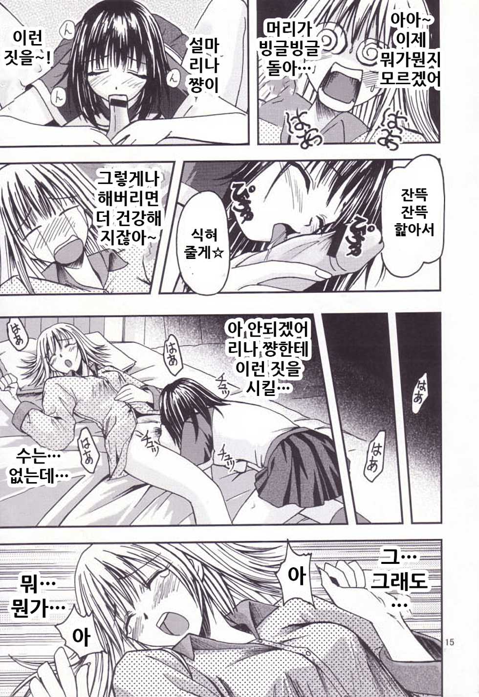 (C64) [S-Plus! (SHIYAMI)] -Pretty Girls? (Pretty Face) [Korean] - Page 15