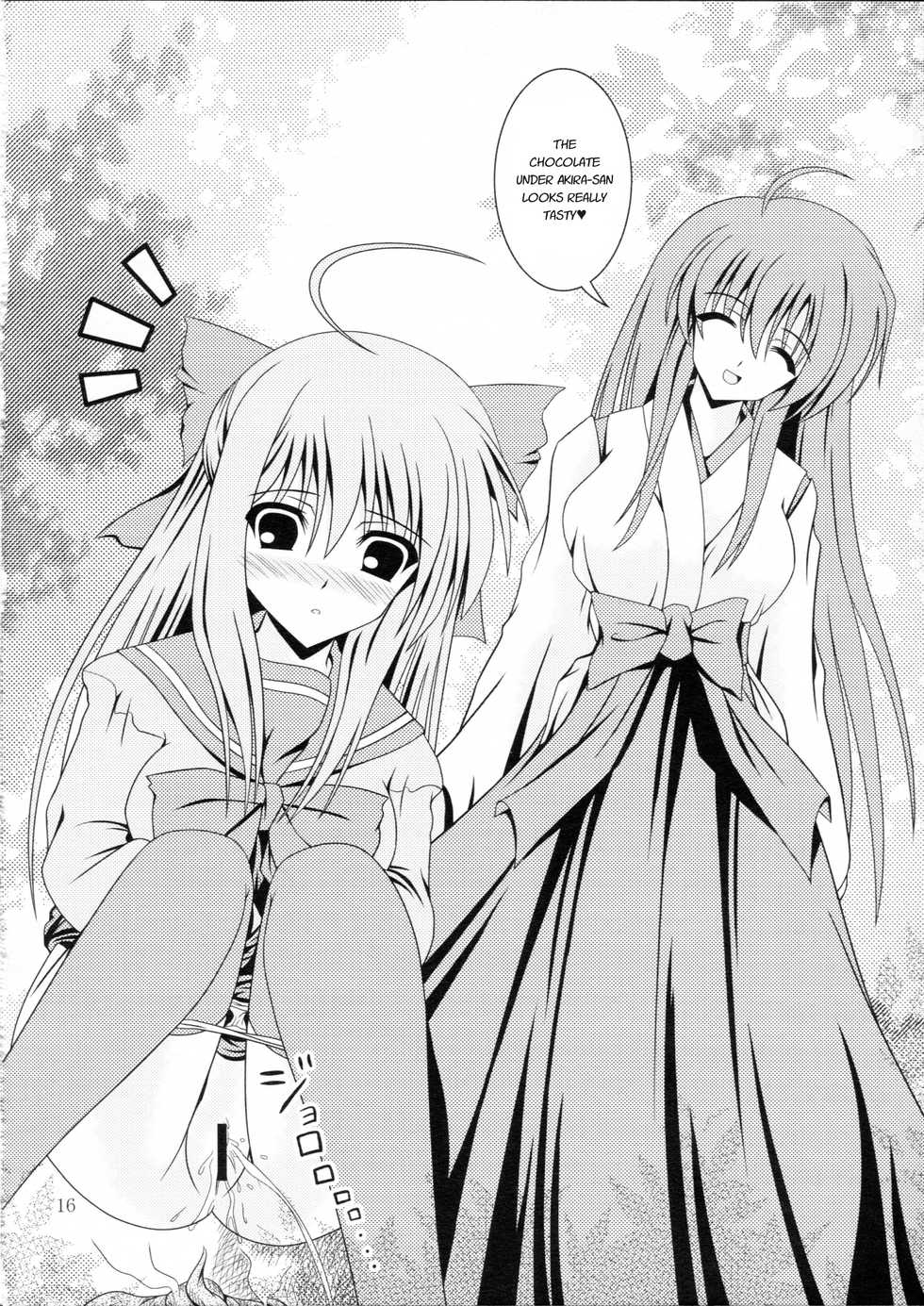 (C83) [Kyuushoku Dorobou (Murakumo)] RESUMPTION [English] - Page 15