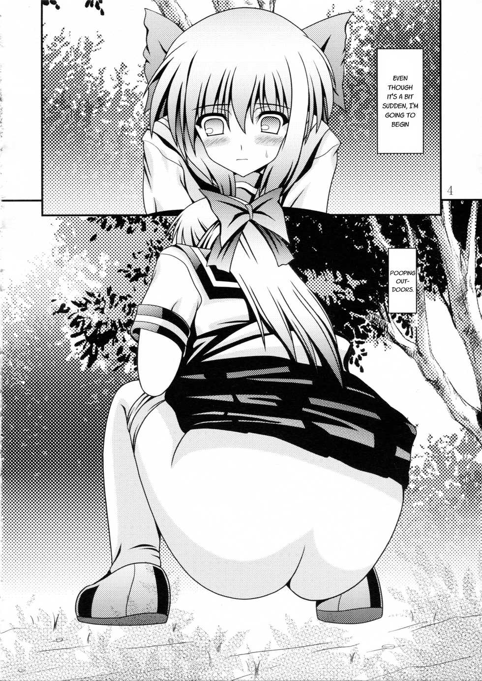 (C84) [Kyuushoku Dorobou (Murakumo)] RESUMPTION 2 [English] - Page 3