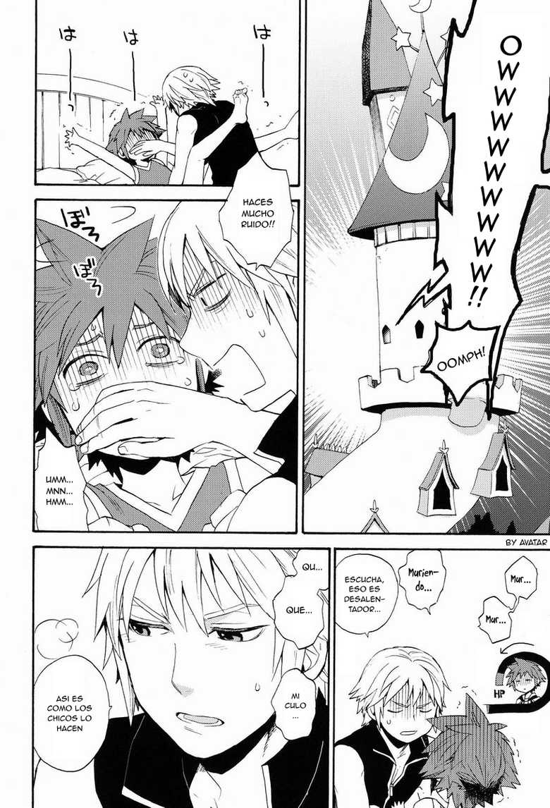 (C82) [Ssize (Sam)] First Session (Kingdom Hearts) [Spanish] [Avatar-kun] - Page 19