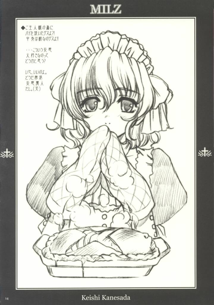 (C63) [NO-ZUI (Kanesada Keishi)] MILZ - Page 14