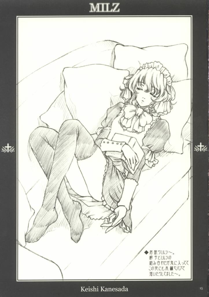 (C63) [NO-ZUI (Kanesada Keishi)] MILZ - Page 15
