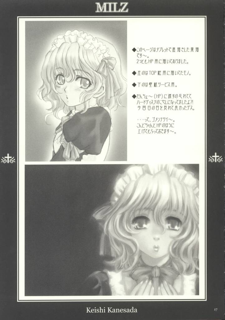(C63) [NO-ZUI (Kanesada Keishi)] MILZ - Page 17