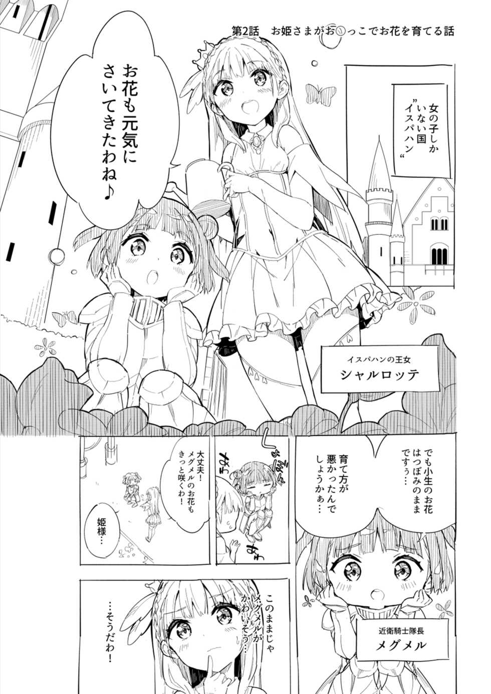 [Gyuunyuuya-san (Gyuunyuu Nomio)] Hime-sama Sore wa Seisui desu ka? - Princess, Is it holy water? [Digital] - Page 11