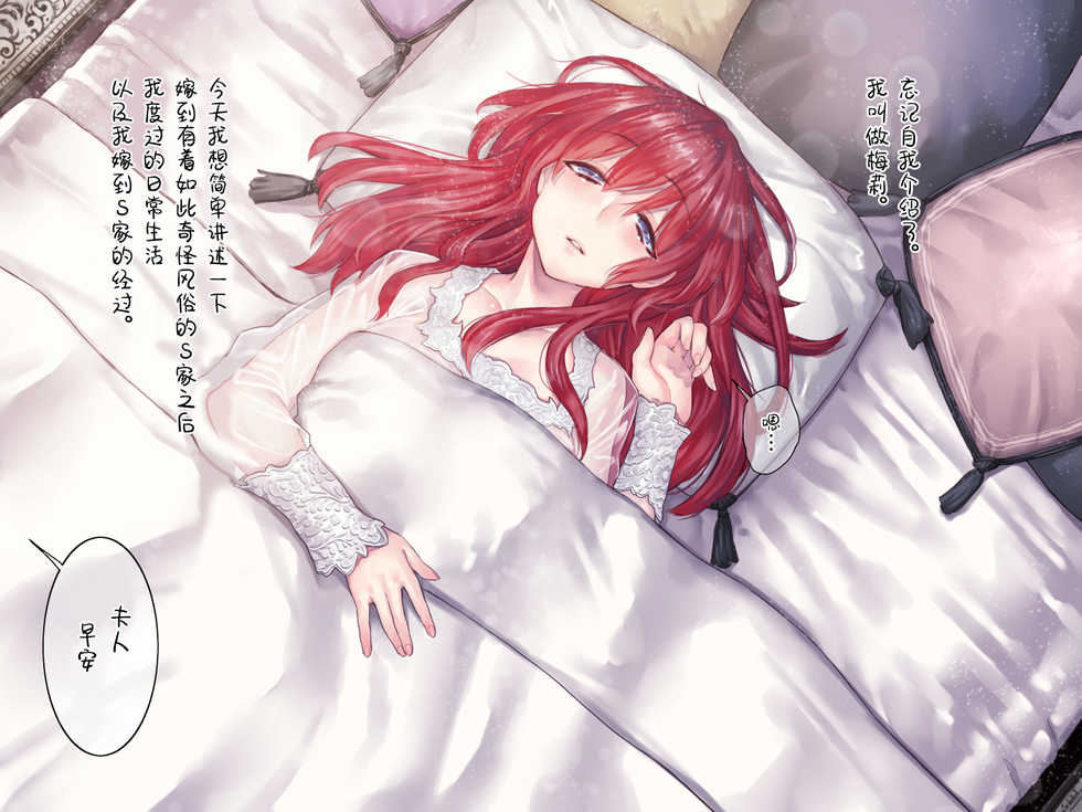 [Yolki Palki (Rororogi Mogera)] Salvatore-ke ni Totsuida Mary-jou no Nichijou [Chinese] [新桥月白日语社] - Page 3