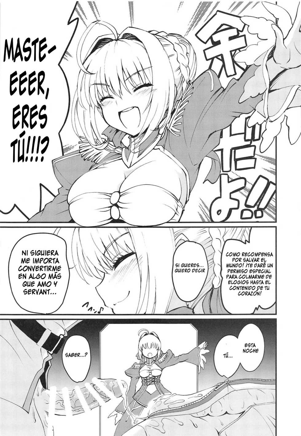 (C95) [ROHGUN_KYOH (Rohgun)] Nero+Nero! (Fate/Grand Order) [Spanish] [HIAKSO] - Page 24