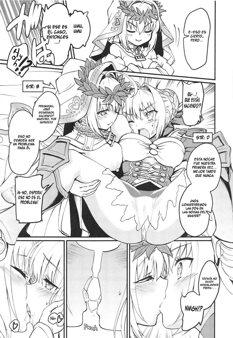 (C95) [ROHGUN_KYOH (Rohgun)] Nero+Nero! (Fate/Grand Order) [Spanish] [HIAKSO] - Page 26