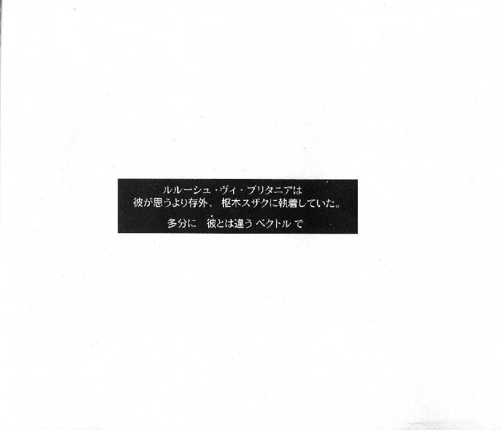 (C73) [ROCK'N'DOLLESS (Himemiko)] Beautifullife (Code Geass) - Page 11