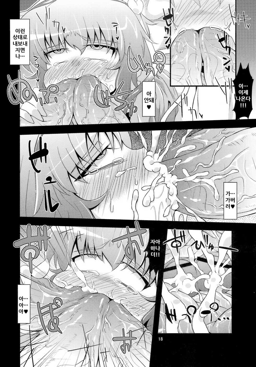 (Kouroumu 6) [Happiness Milk (Obyaa)] Hangyaku Dorei (Touhou Project) [Korean] - Page 18