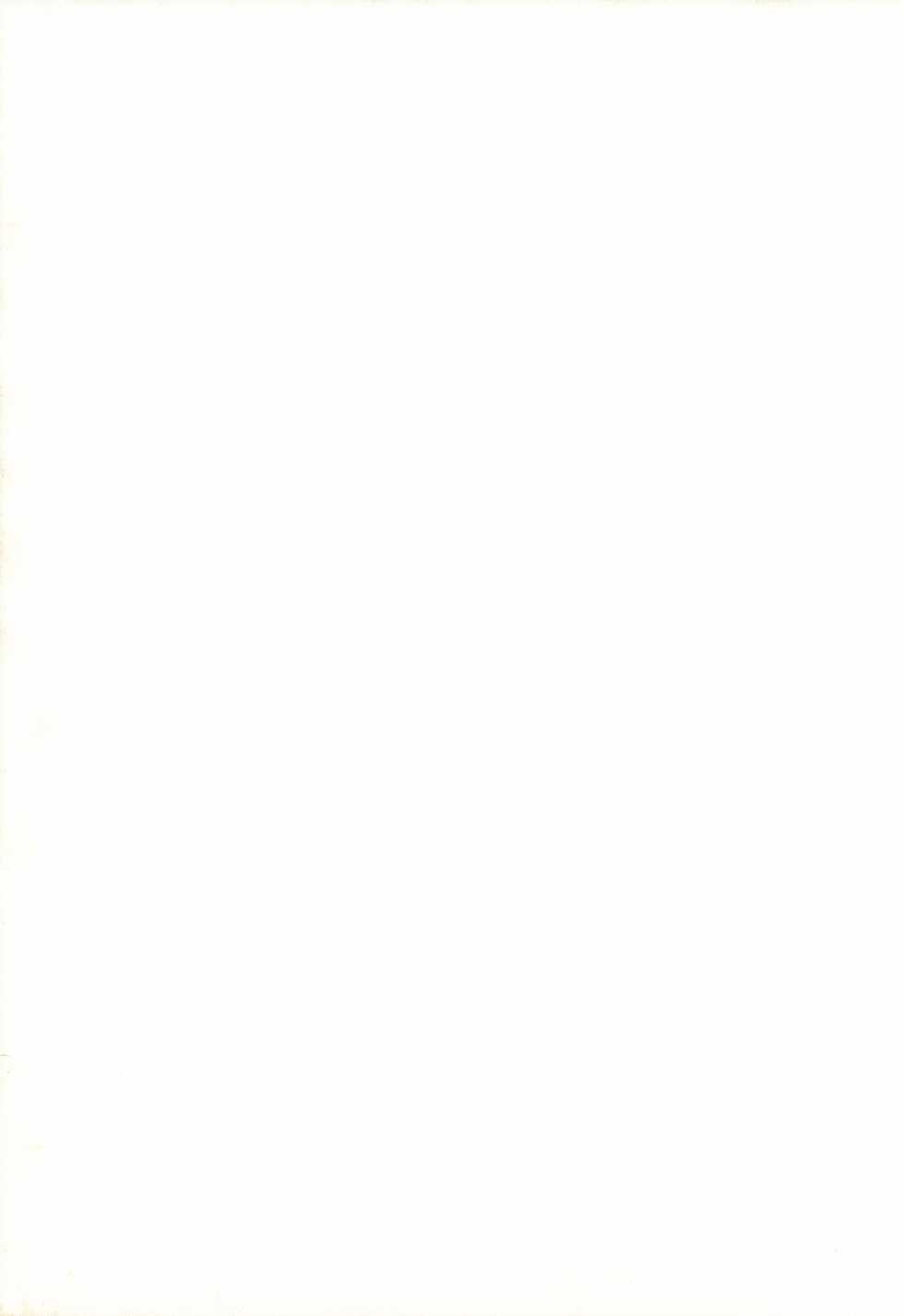 (SC49) [Contamination (eigetu)] Yoi no Utage (Touhou Project) - Page 23