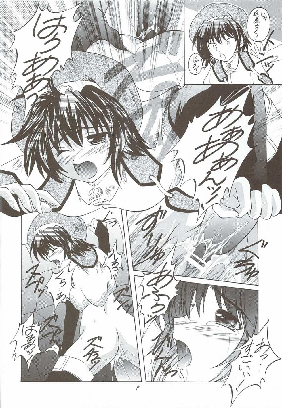 (C68) [RED RIBBON REVENGER (Various)] Kaze no Yousei 3 (Elemental Gelade) - Page 9