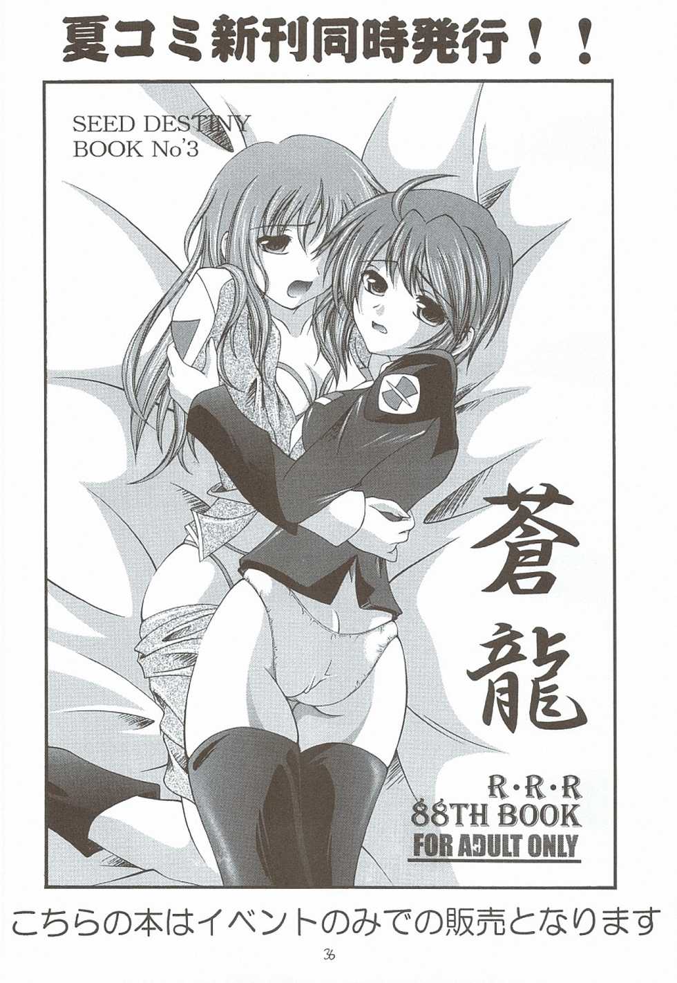 (C68) [RED RIBBON REVENGER (Various)] Kaze no Yousei 3 (Elemental Gelade) - Page 35