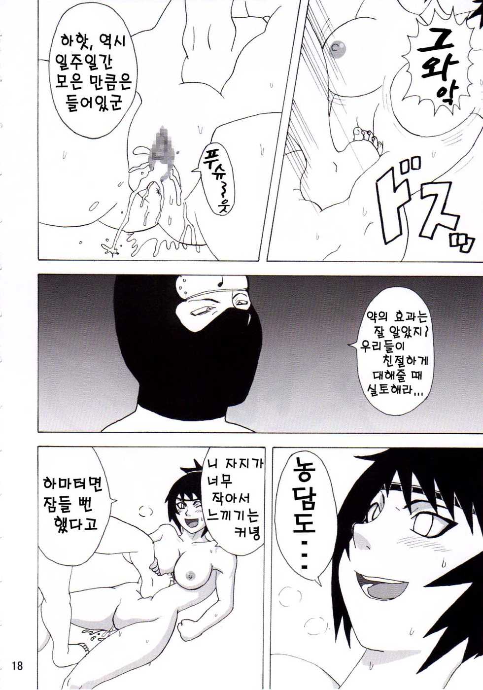 (C68) [Naruho-dou (Naruhodo)] Mitarashi Anko Hon | 미타라시 앙코 책 (Naruto) [Korean] - Page 19