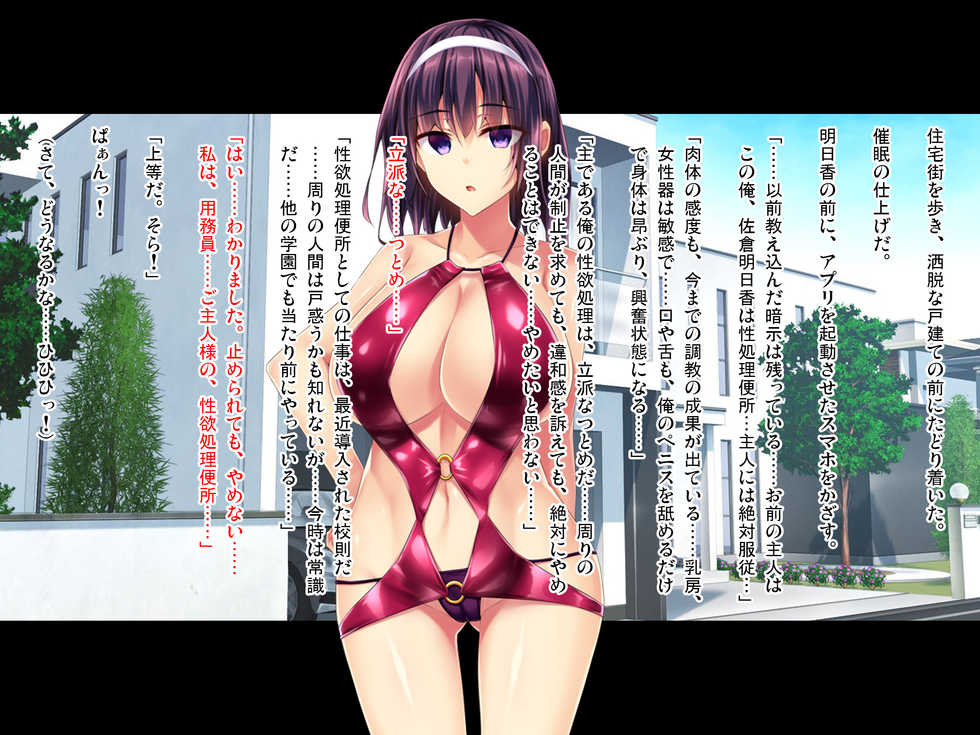 [Pin-Point (Fukuyama Naoto)] Teihen Youmuin Fukushuu Sennou ~Namaiki Reijou Saimin~ Kouhen - Page 11