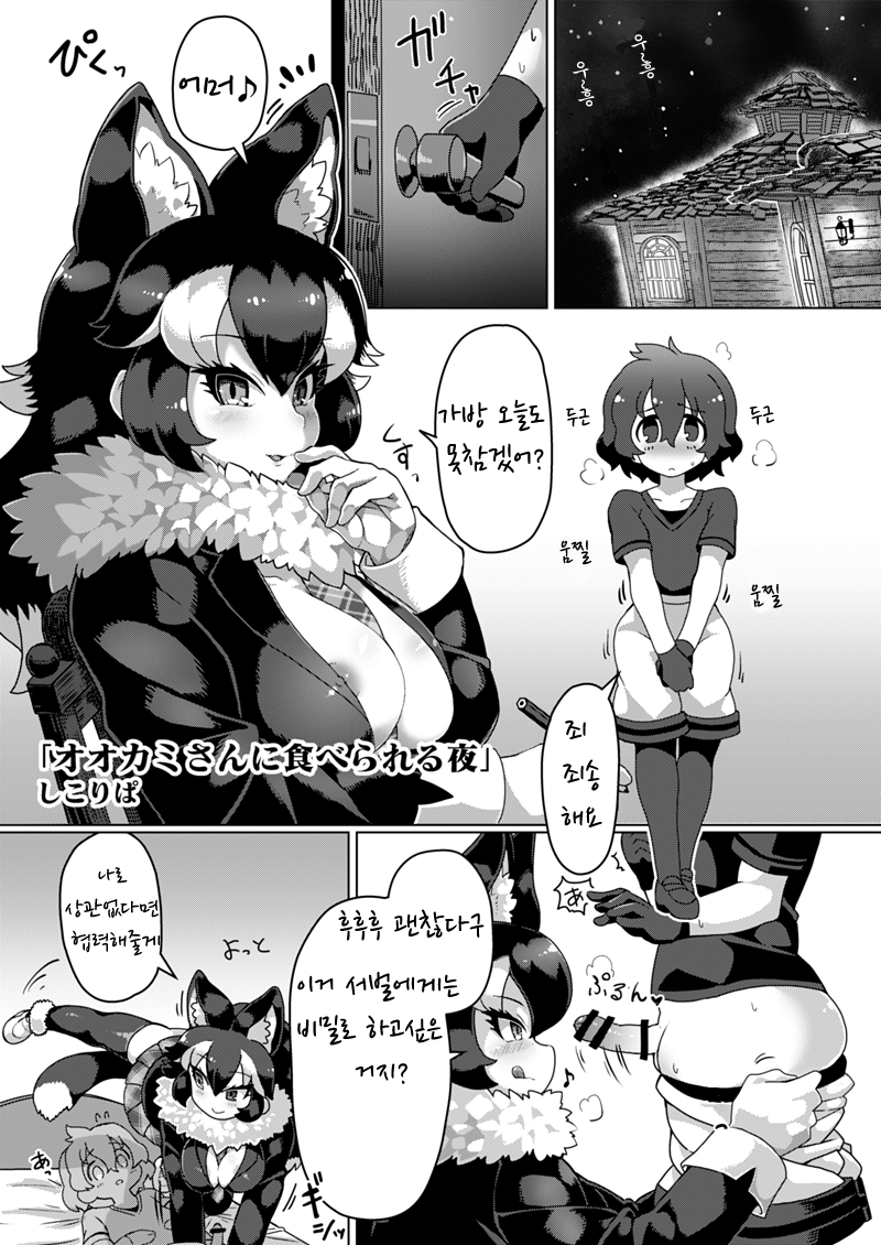 [Cent Millibar (Shikoripa)] Ookami-san ni Taberareru Yoru (Ii Kao Itadaki! Ecchi na Tairiku Ookami Goudou) (Kemono Friends) [Korean] [Digital] - Page 1
