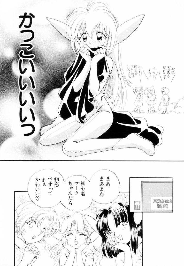 [Hikaru Nagareboshi] Seigi No Mikata Mo Raku Zya Nai - Page 15