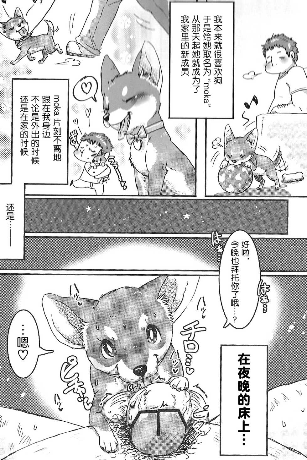 (Fur-st 5) [Sibakan. (Mocokitty)] Petit Inu [Chinese] [逃亡者x新桥月白日语社] - Page 5